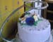 suport-tort1